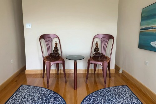 Pair of Molding  metal grey finish garden chair